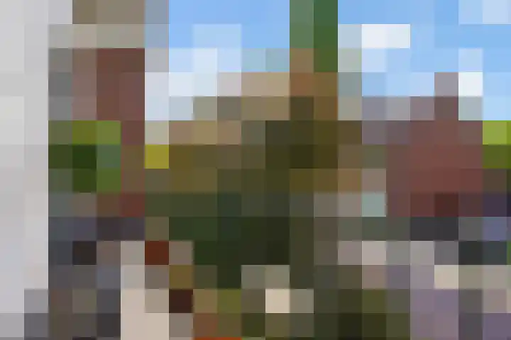 Brugmanstraat 2 's-Hertogenbosch thumbnail 36