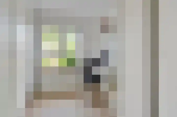 Brugmanstraat 2 's-Hertogenbosch thumbnail 37