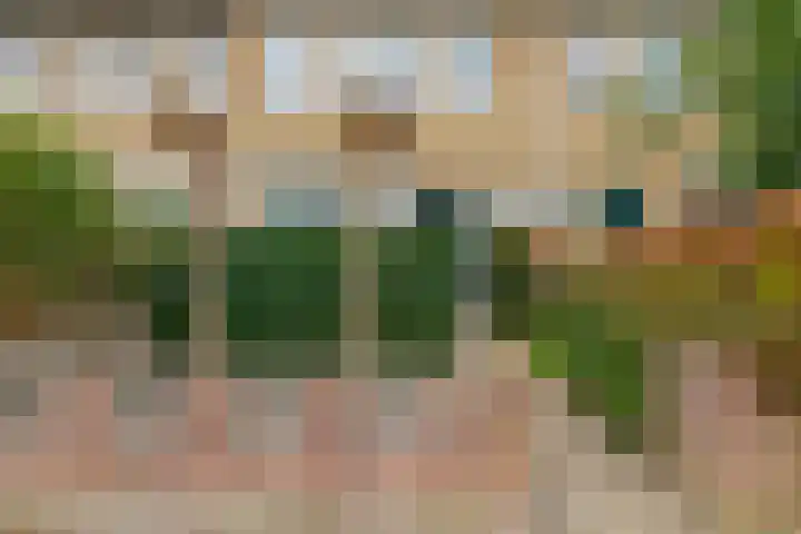 Brugmanstraat 4 Eindhoven thumbnail 10