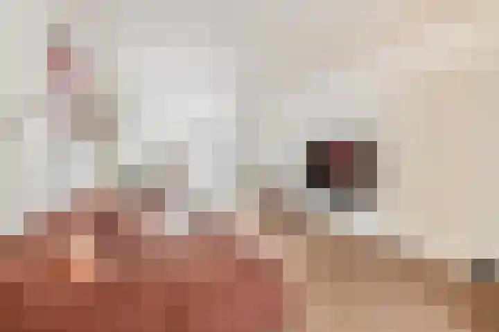 Brugmanstraat 4 Eindhoven thumbnail 15
