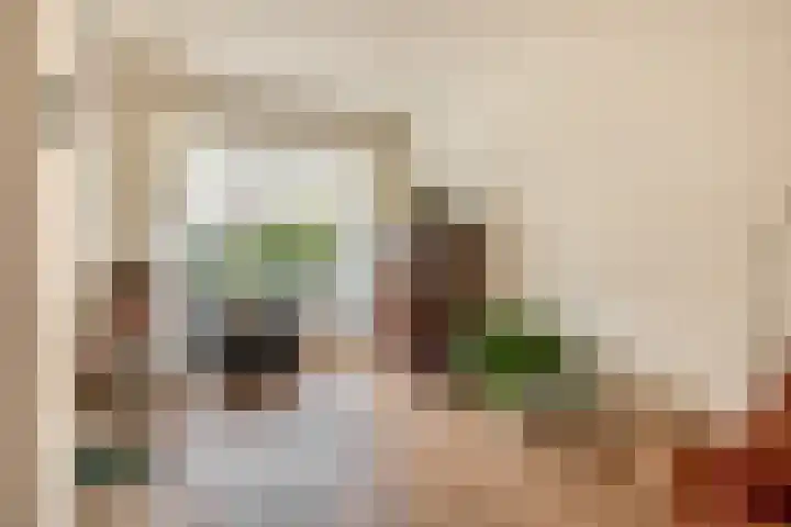 Brugmanstraat 4 Eindhoven thumbnail 18