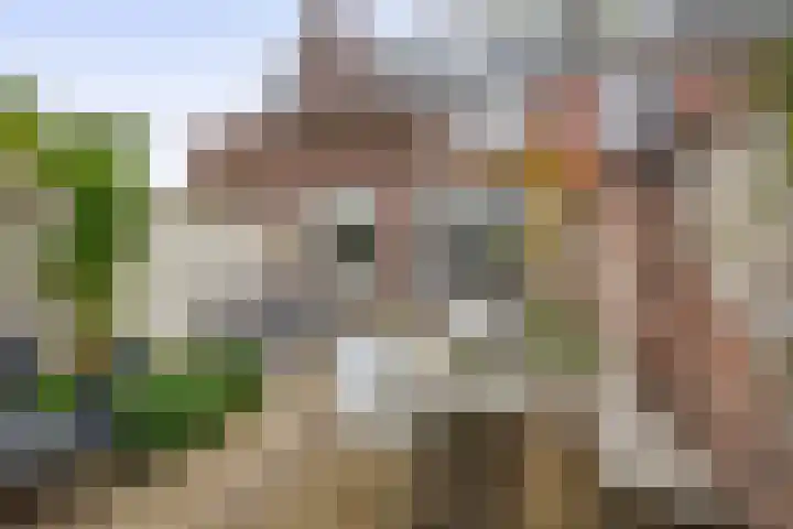 Brugmanstraat 4 Eindhoven thumbnail 42