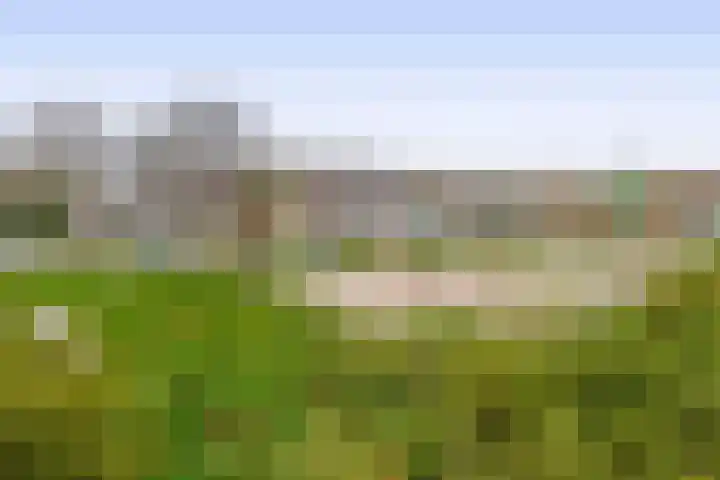 Brugmanstraat 4 Eindhoven thumbnail 46