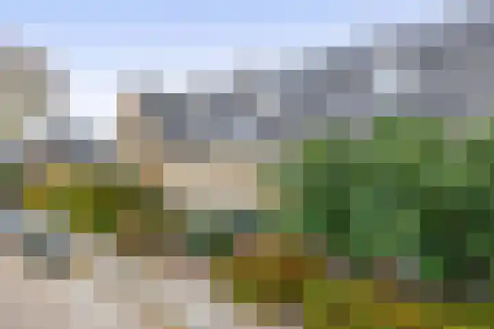 Brugmanstraat 4 Eindhoven thumbnail 7