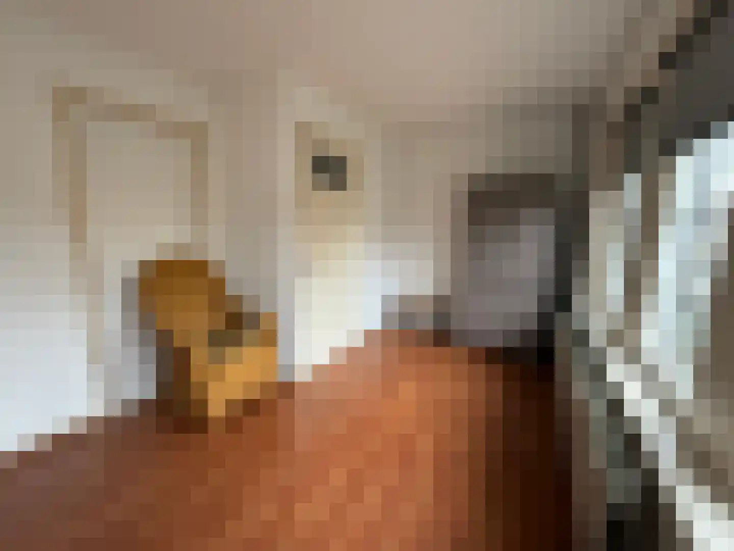Brugmanstraat 40 Eindhoven thumbnail 13