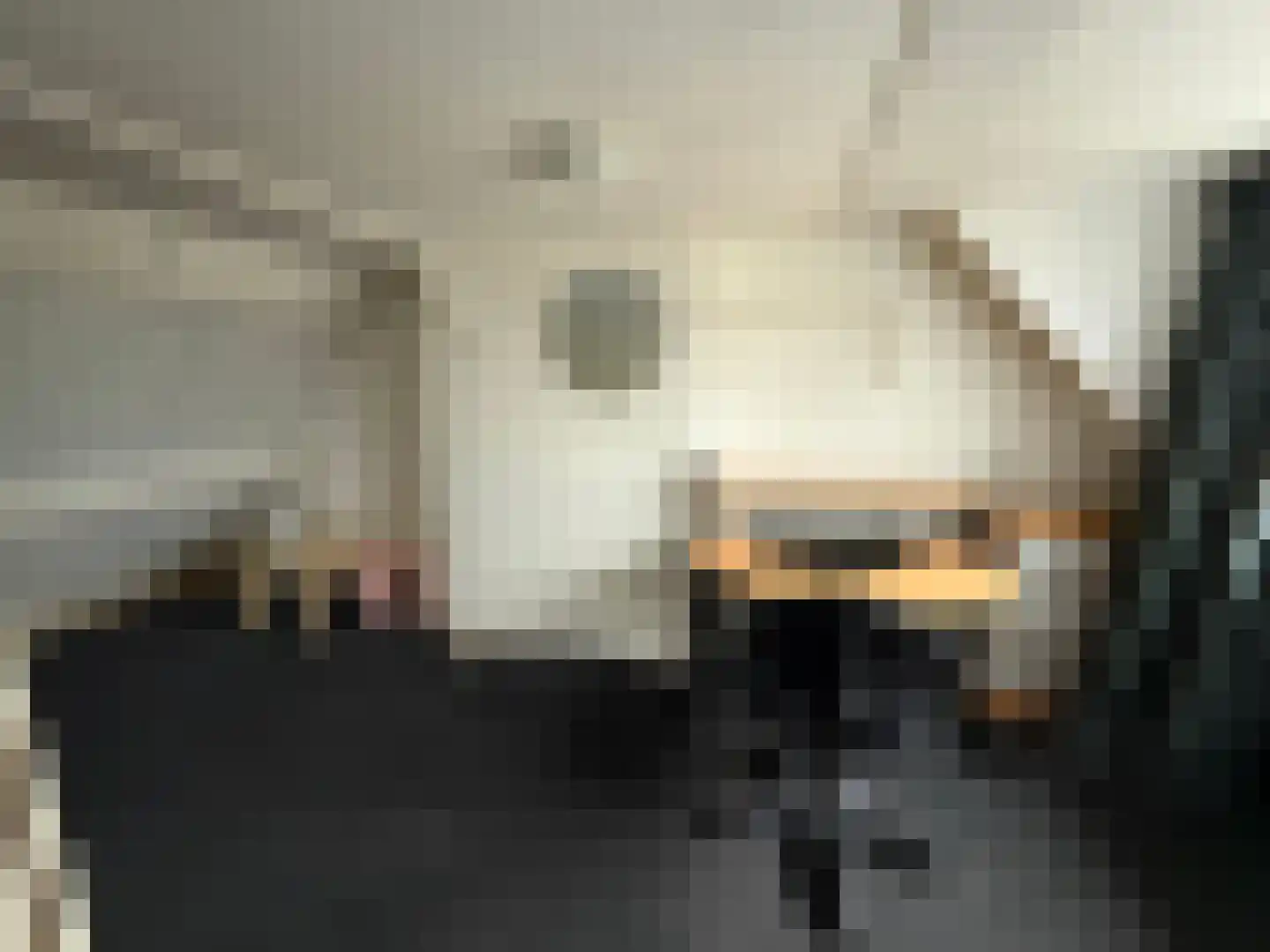 Brugmanstraat 40 Eindhoven thumbnail 17