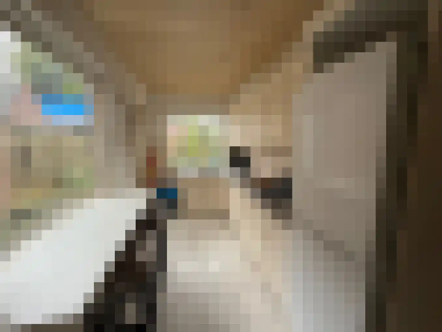 Brugmanstraat 40 Eindhoven thumbnail 7