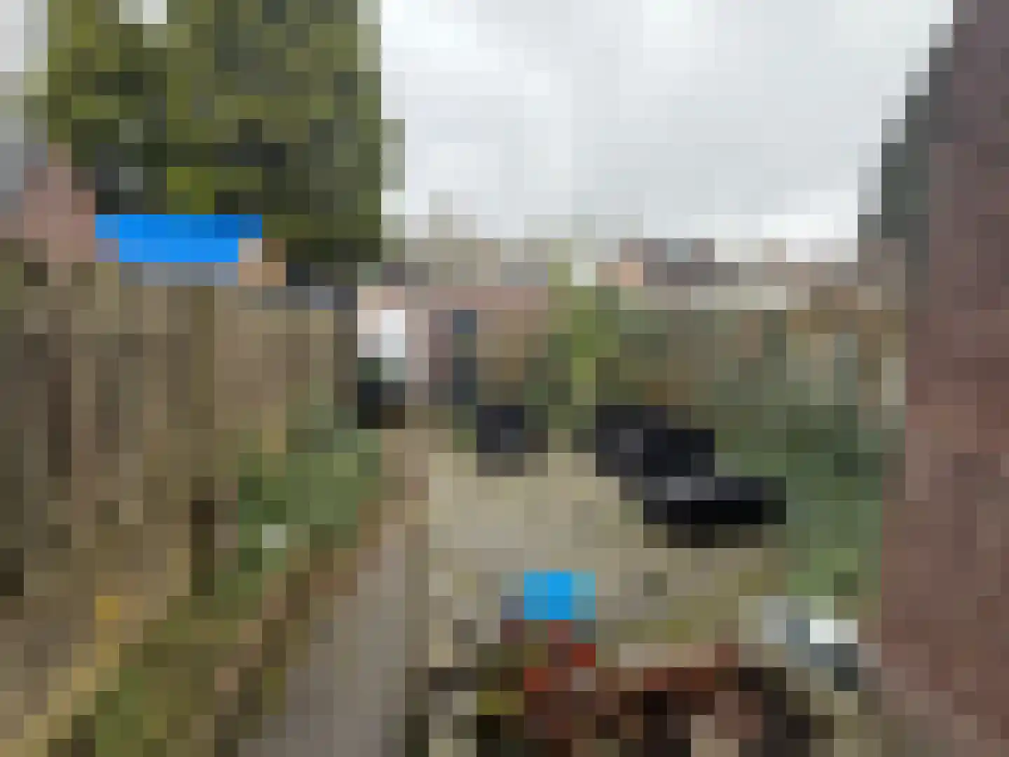 Brugmanstraat 40 Eindhoven thumbnail 8