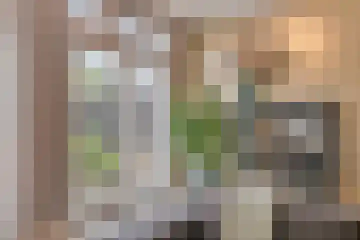 Brugmanstraat 42 Eindhoven thumbnail 13