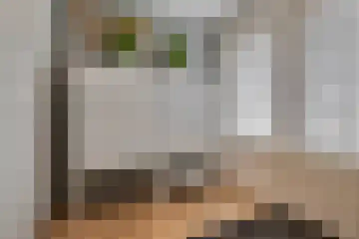 Brugmanstraat 42 Eindhoven thumbnail 20