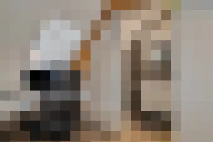 Brugmanstraat 42 Eindhoven thumbnail 32