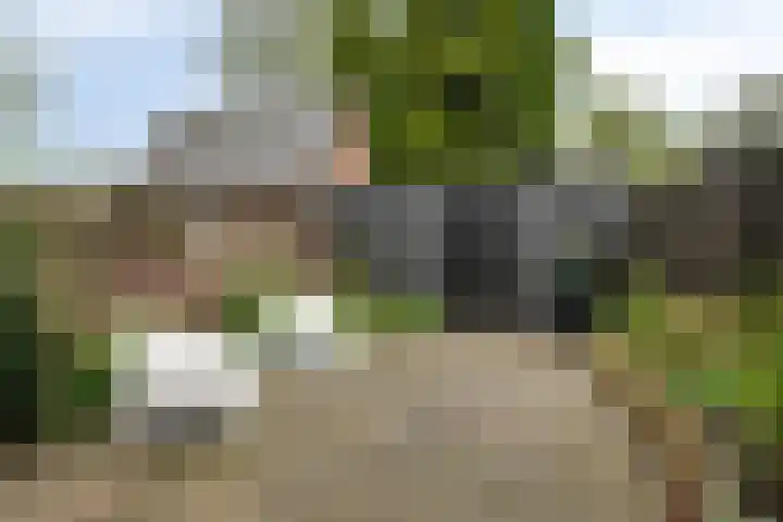 Brugmanstraat 42 Eindhoven thumbnail 33