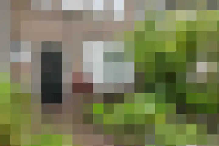 Brugmanstraat 42 Eindhoven thumbnail 36