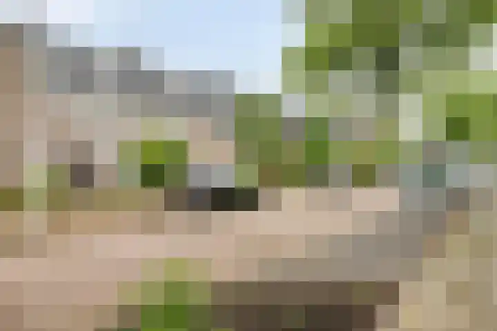 Brugmanstraat 42 Eindhoven thumbnail 37