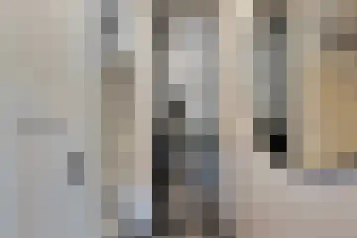 Brugmanstraat 42 Eindhoven thumbnail 9