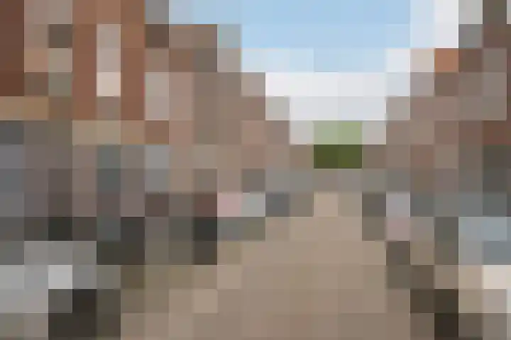 Brugmanstraat 7 A Schiedam thumbnail 19