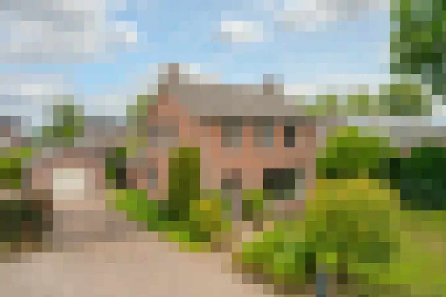 Brugpas 4 Veulen