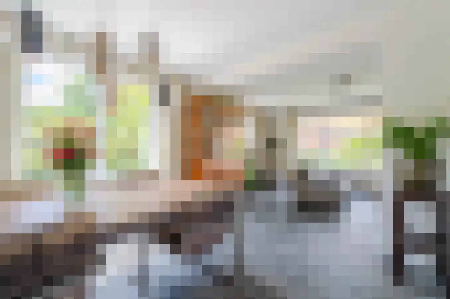 Brugpas 4 Veulen thumbnail 10