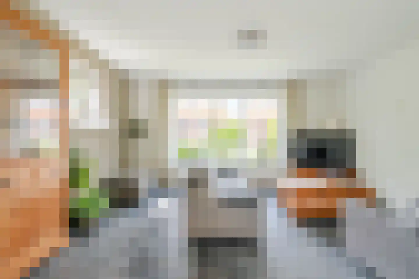 Brugpas 4 Veulen thumbnail 11