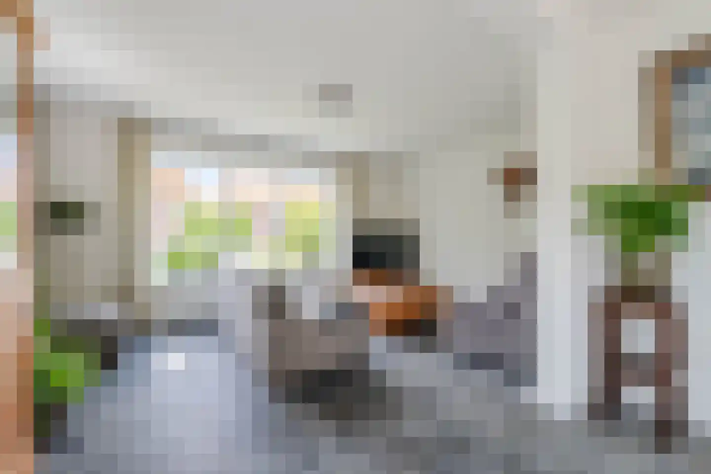 Brugpas 4 Veulen thumbnail 12