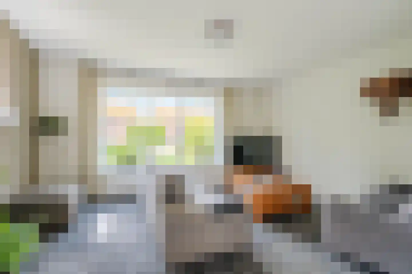 Brugpas 4 Veulen thumbnail 13