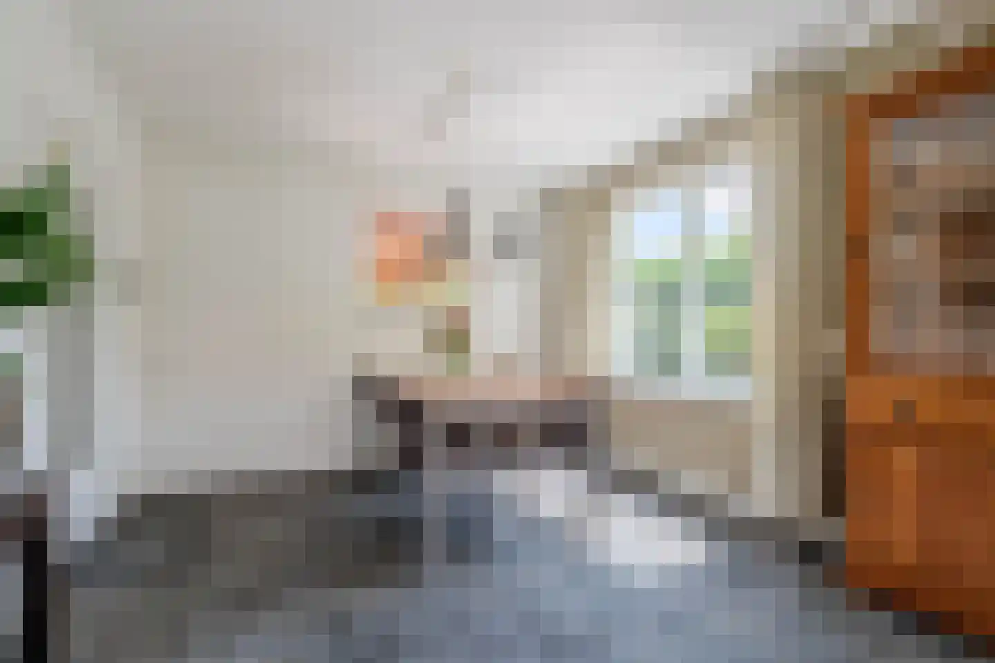 Brugpas 4 Veulen thumbnail 15