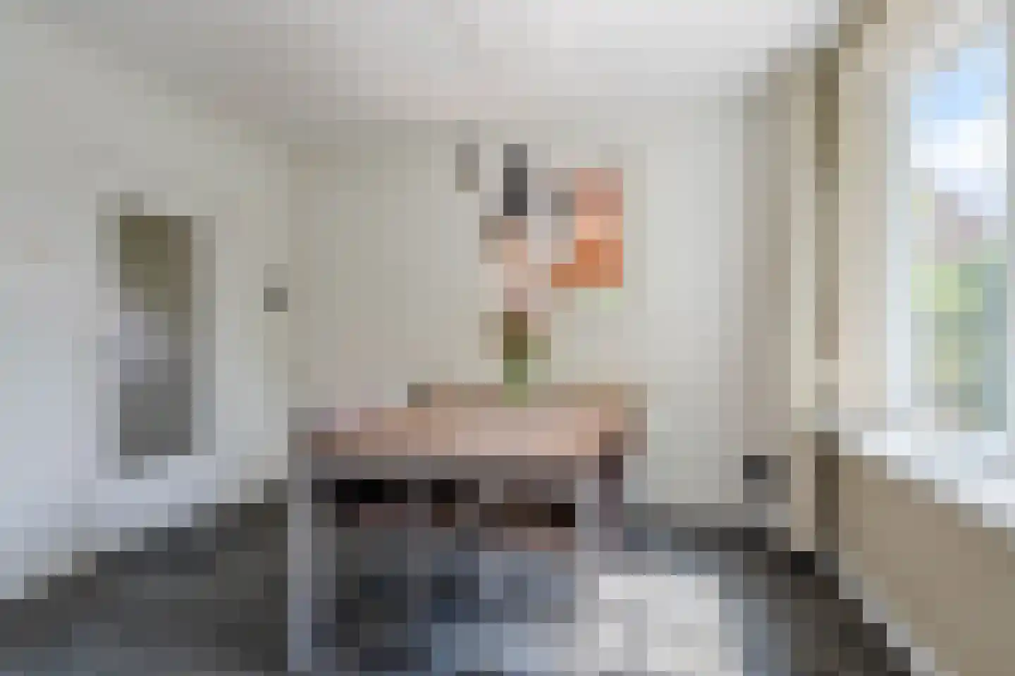 Brugpas 4 Veulen thumbnail 16