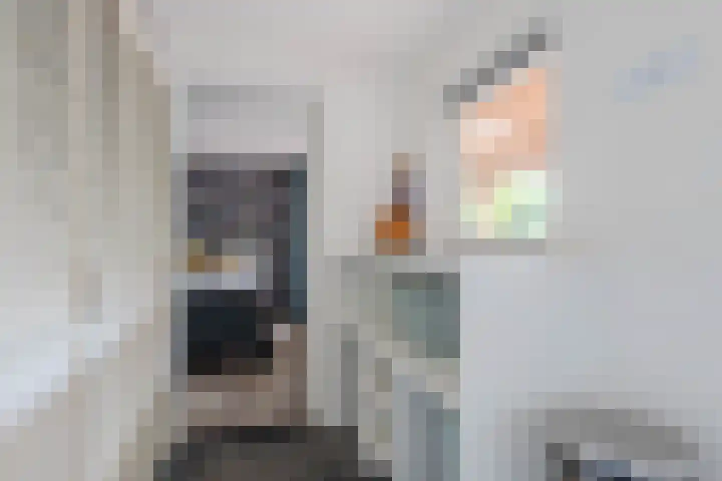 Brugpas 4 Veulen thumbnail 20