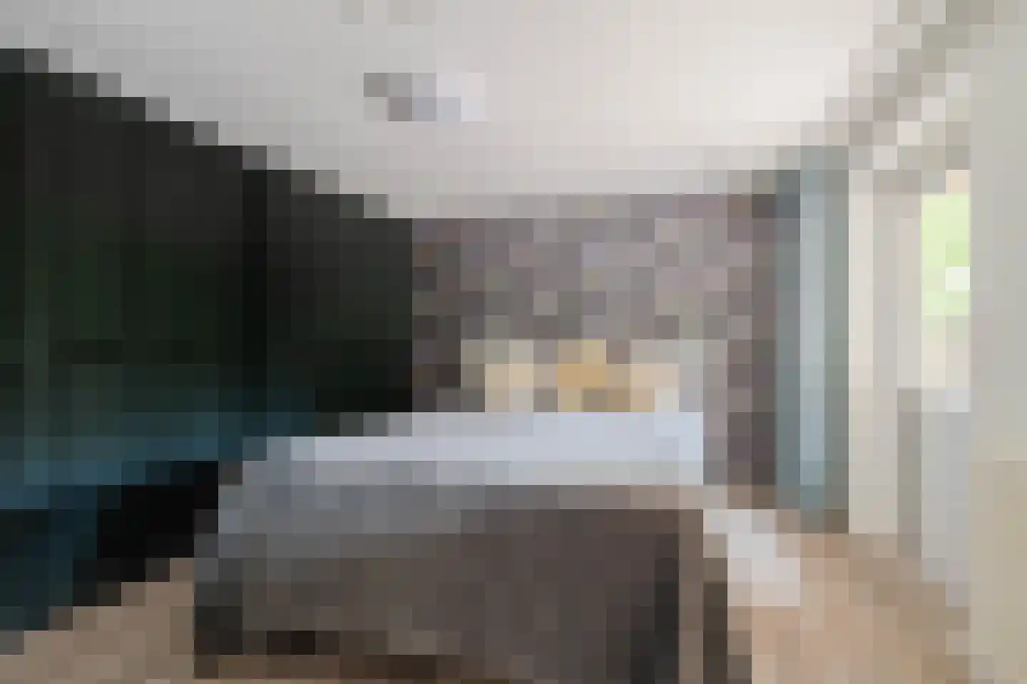 Brugpas 4 Veulen thumbnail 21