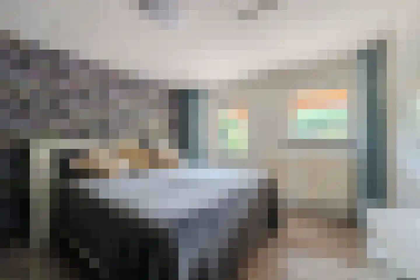 Brugpas 4 Veulen thumbnail 22