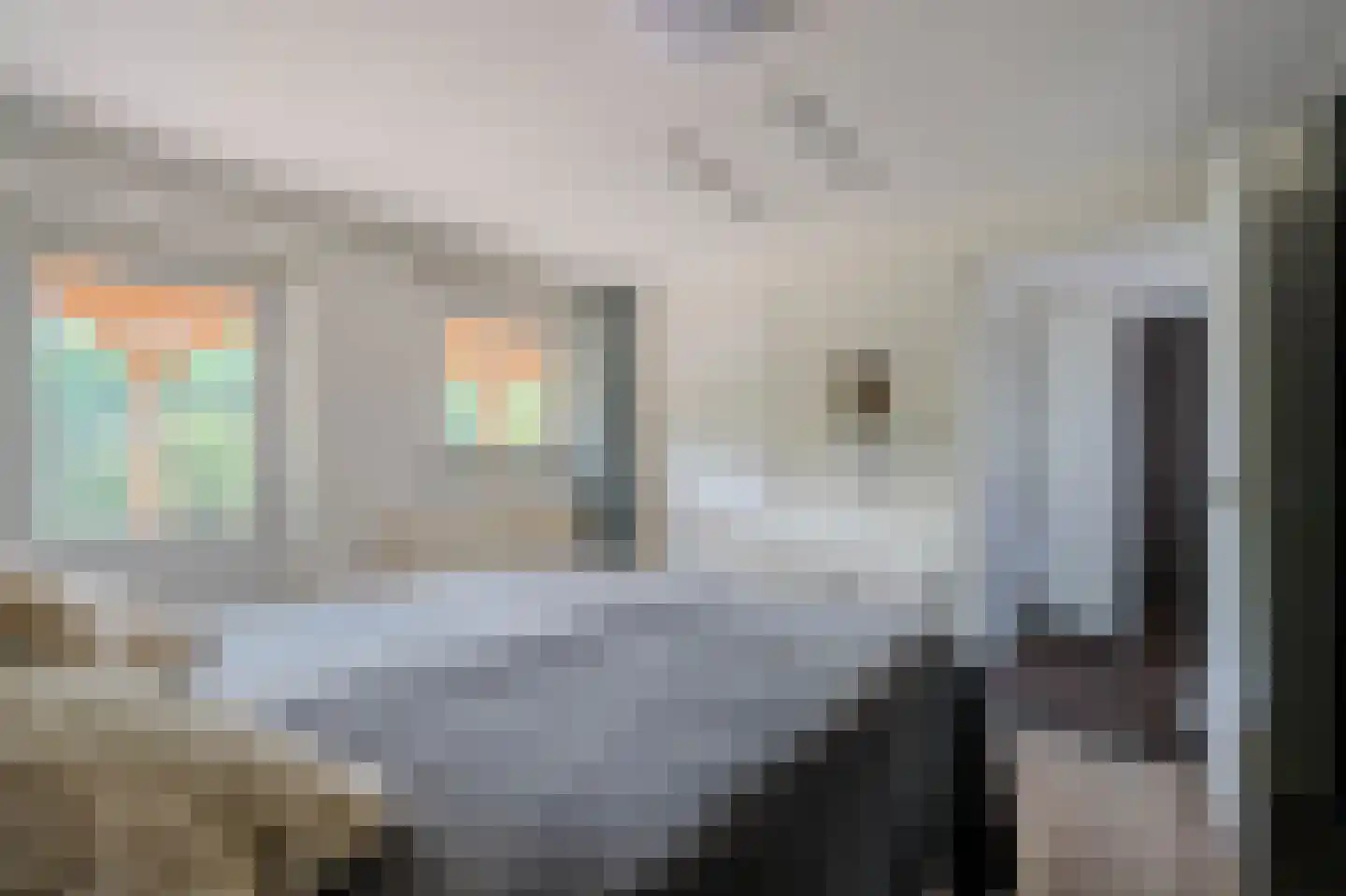 Brugpas 4 Veulen thumbnail 23