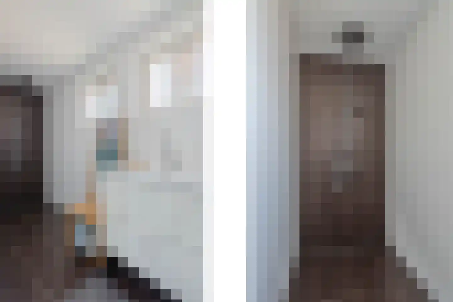 Brugpas 4 Veulen thumbnail 25