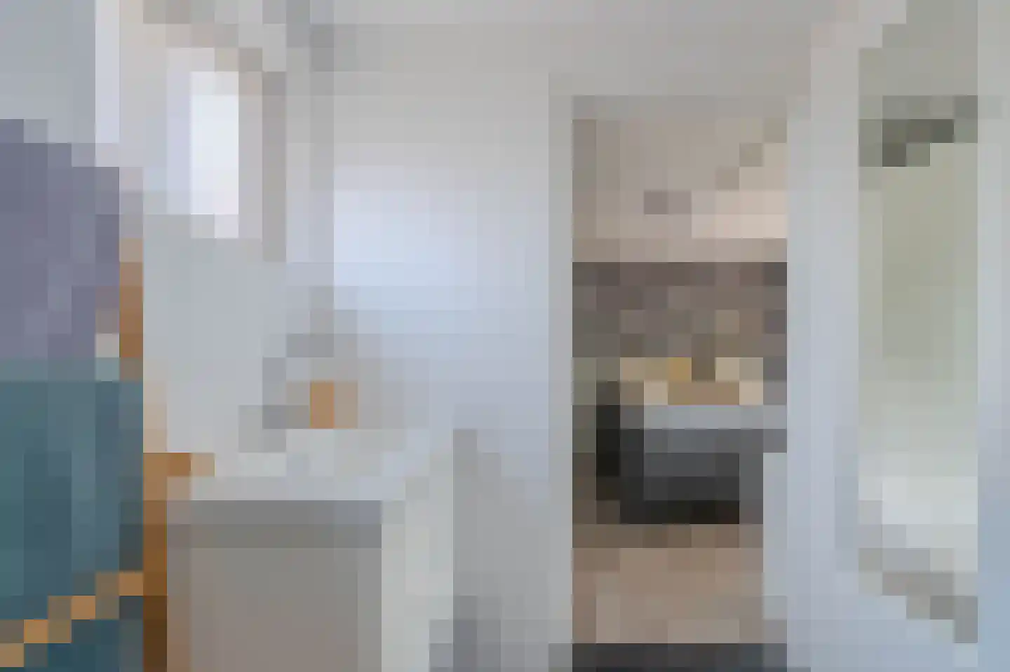 Brugpas 4 Veulen thumbnail 26