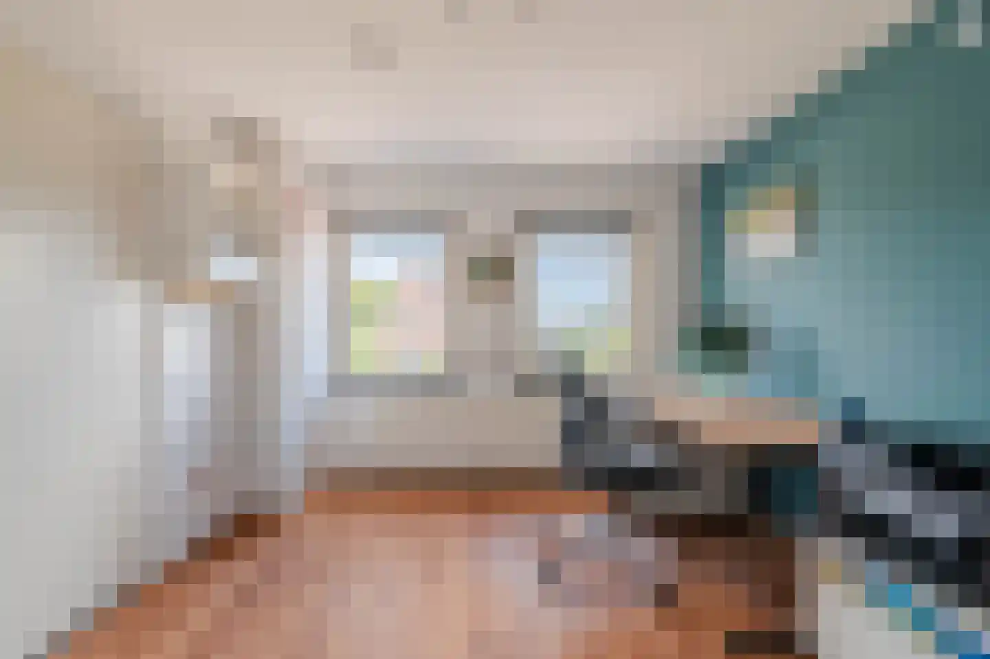 Brugpas 4 Veulen thumbnail 27