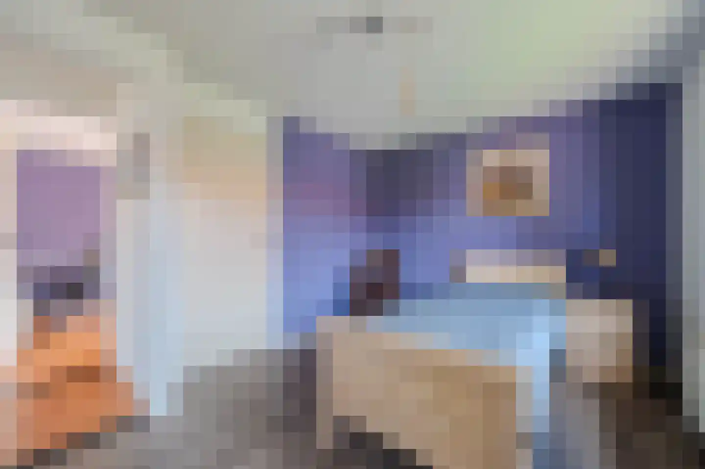Brugpas 4 Veulen thumbnail 30