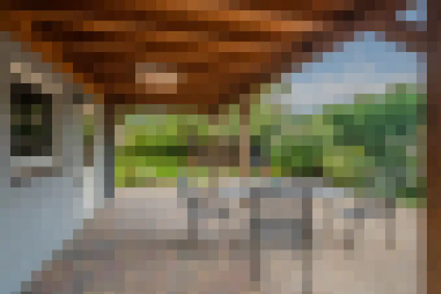 Brugpas 4 Veulen thumbnail 35