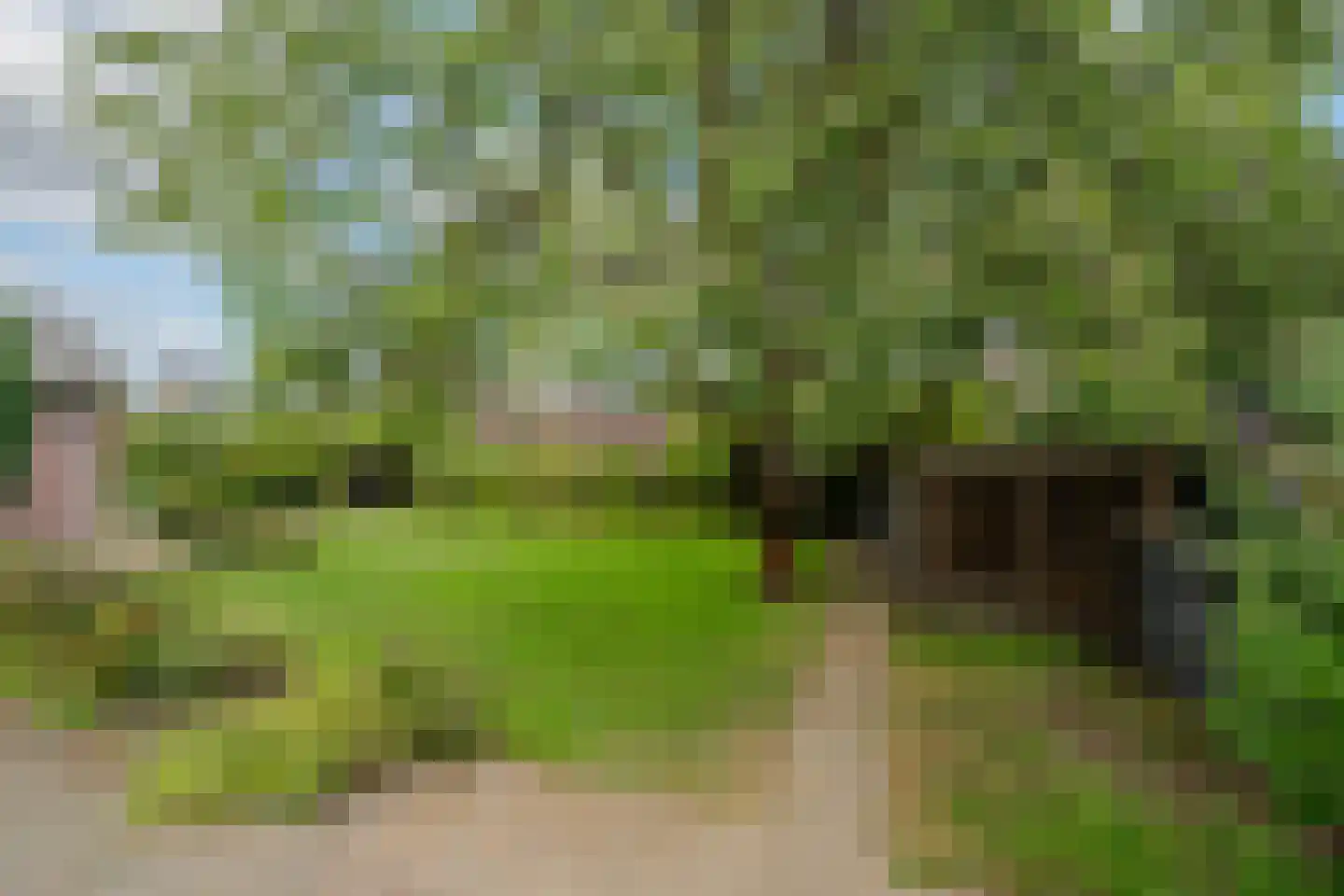 Brugpas 4 Veulen thumbnail 38