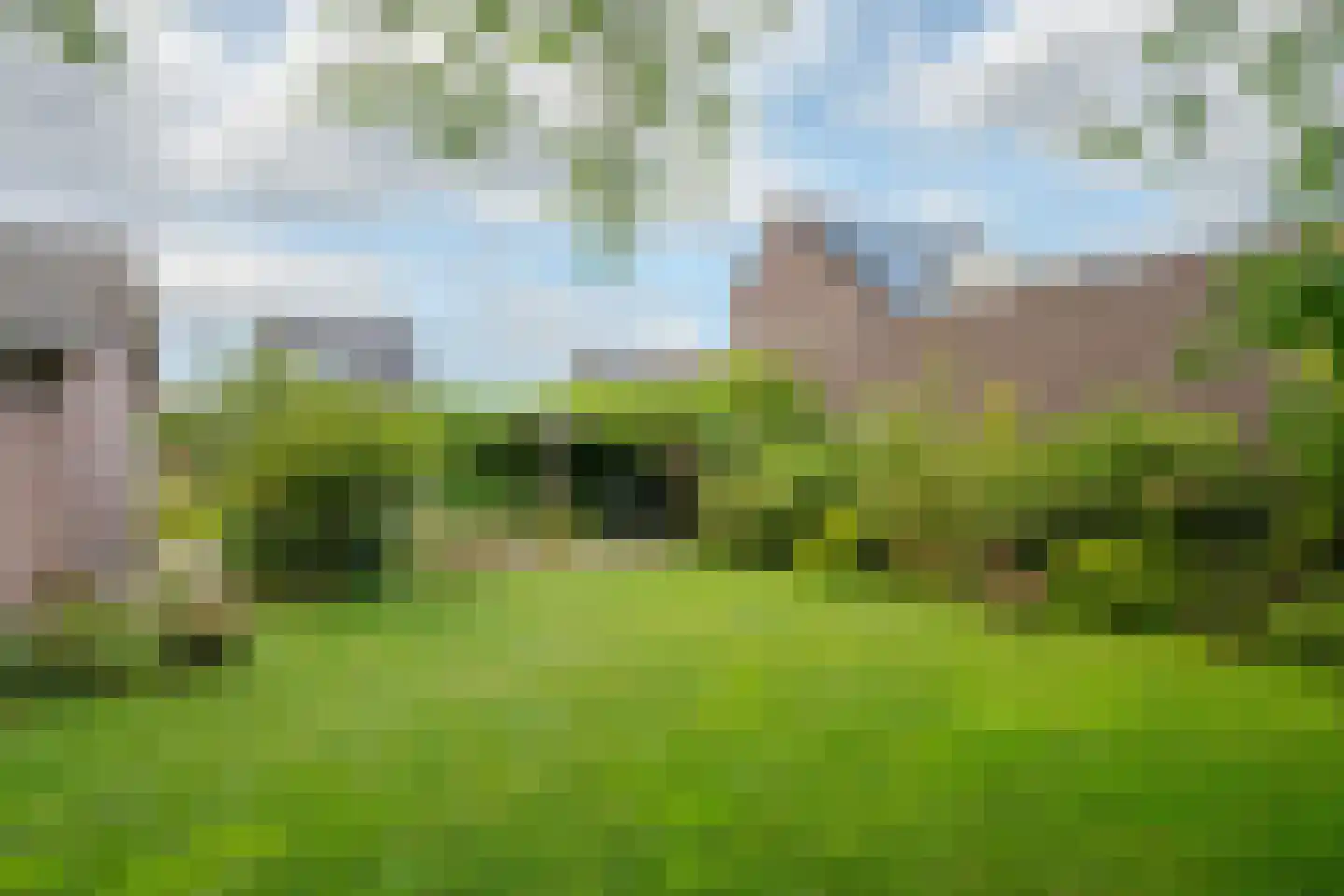 Brugpas 4 Veulen thumbnail 39