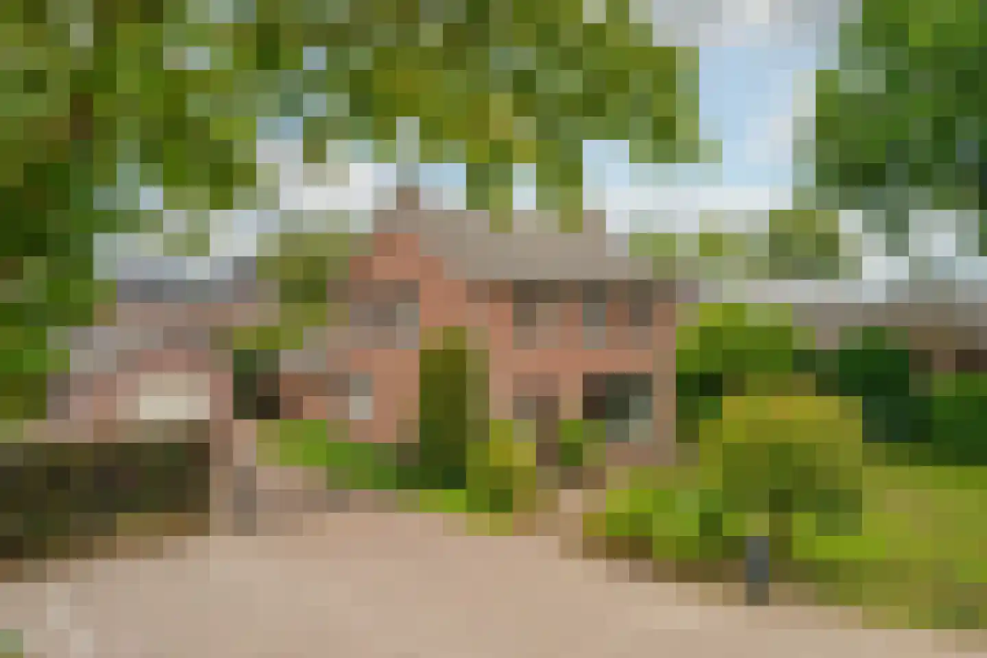 Brugpas 4 Veulen thumbnail 4