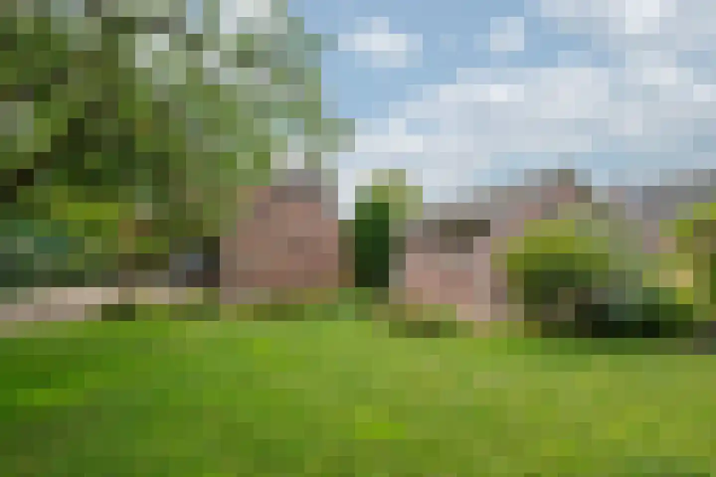 Brugpas 4 Veulen thumbnail 41