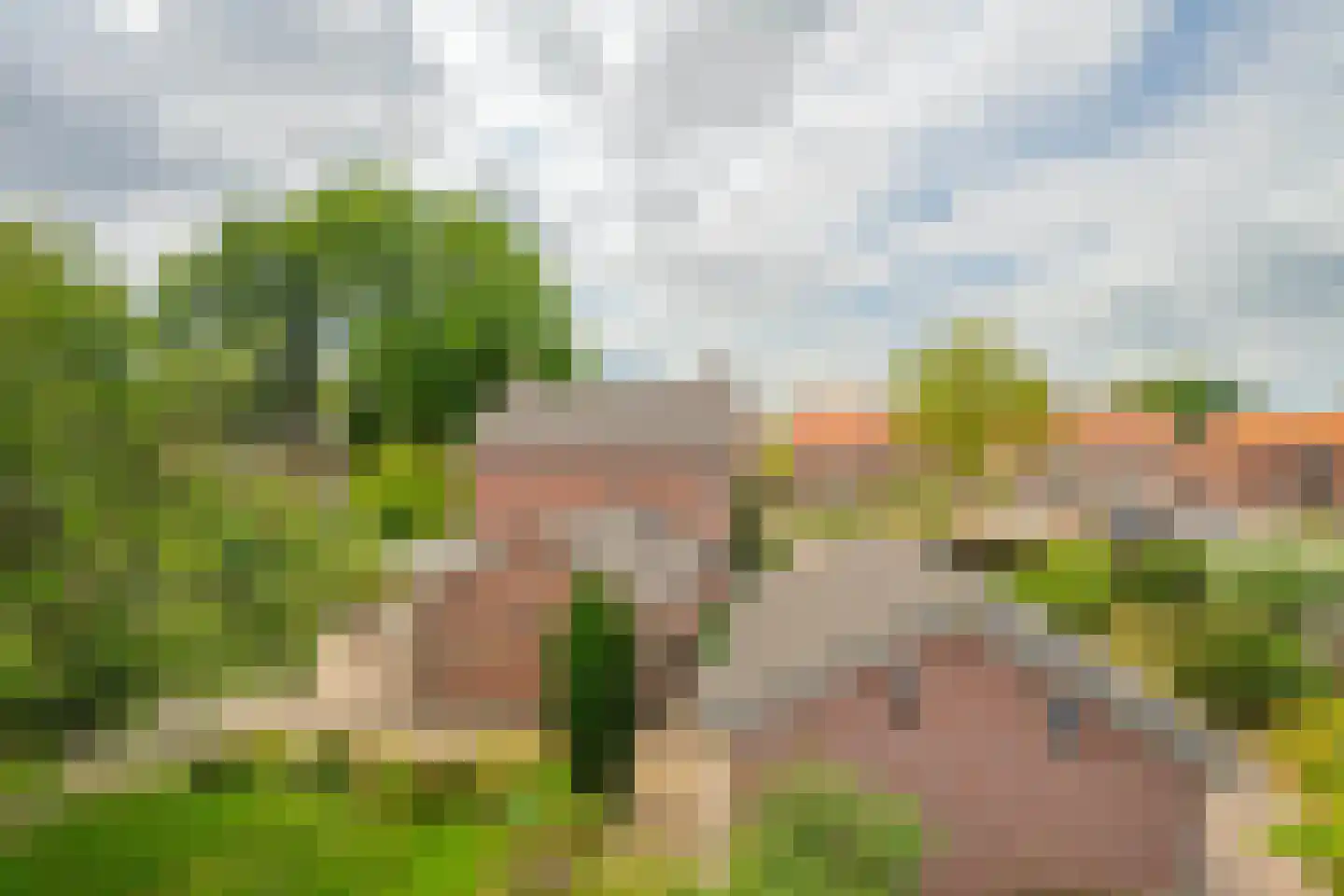 Brugpas 4 Veulen thumbnail 42