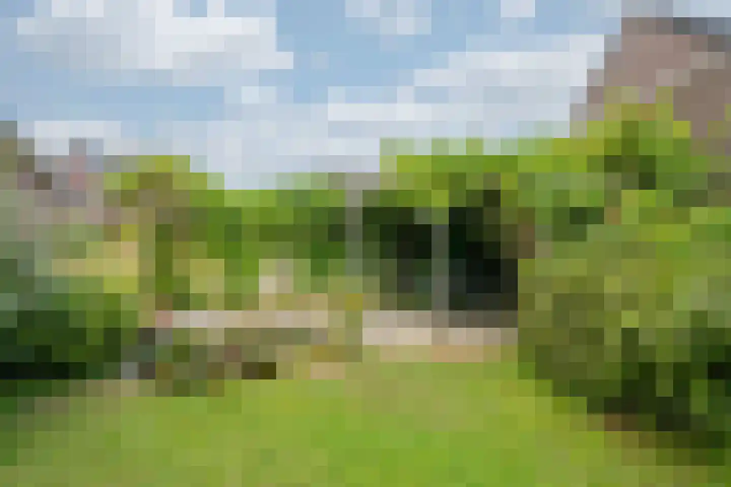 Brugpas 4 Veulen thumbnail 43