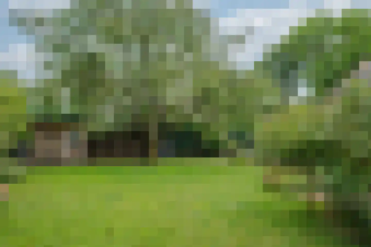 Brugpas 4 Veulen thumbnail 47