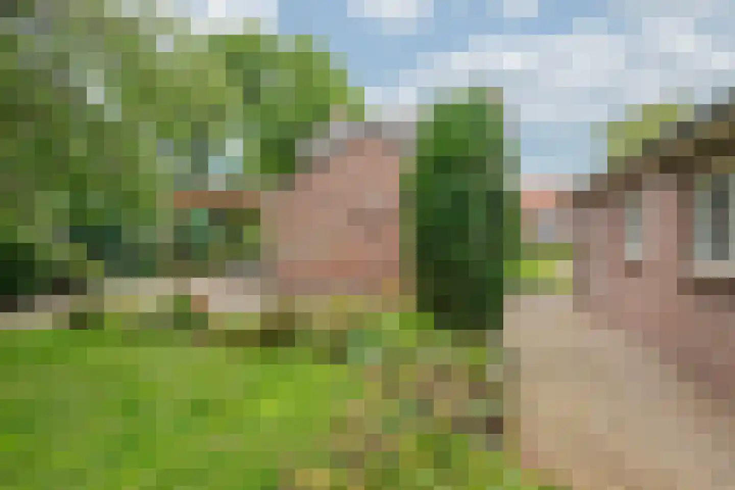Brugpas 4 Veulen thumbnail 48