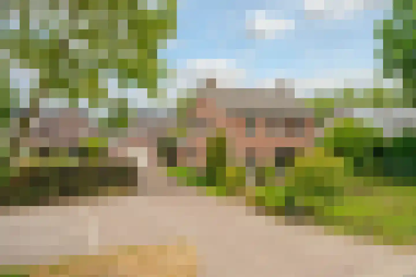 Brugpas 4 Veulen thumbnail 5