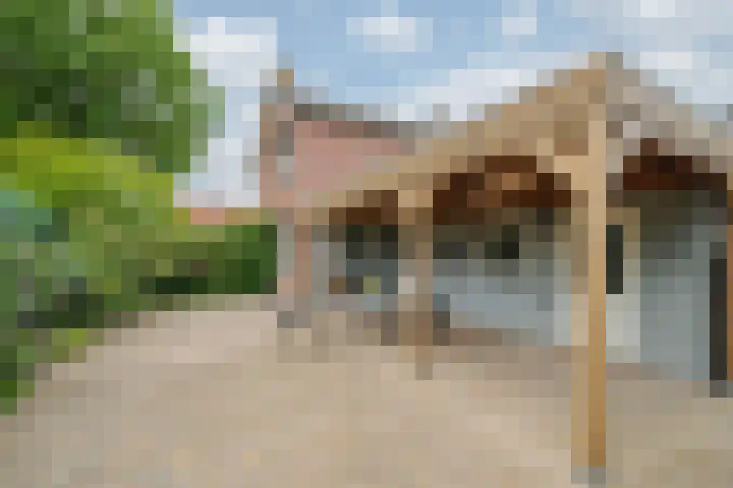 Brugpas 4 Veulen thumbnail 50