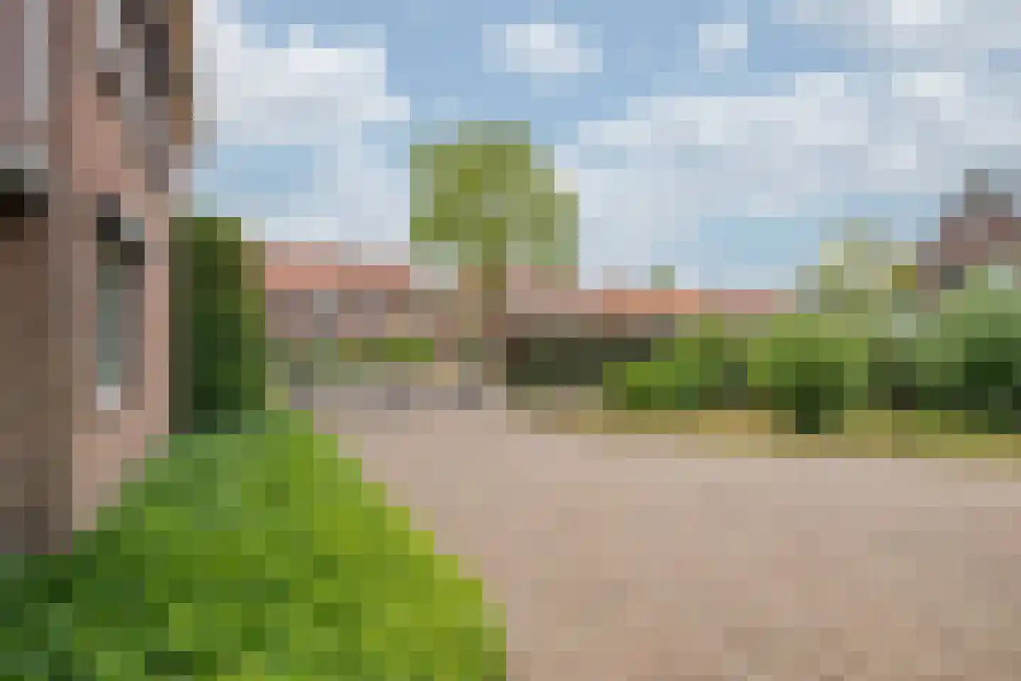 Brugpas 4 Veulen thumbnail 51