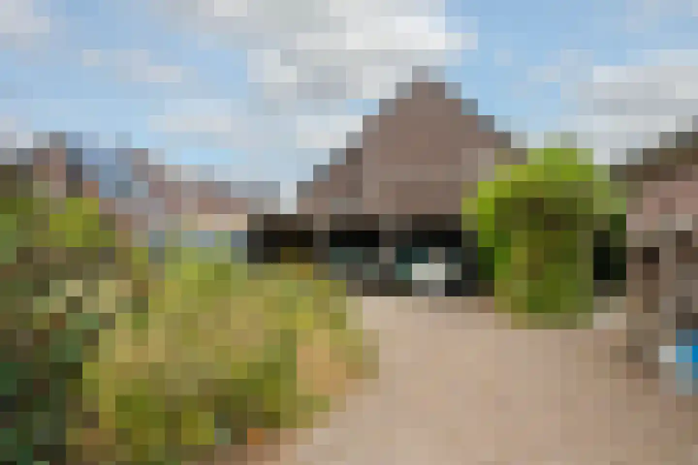 Brugpas 4 Veulen thumbnail 53