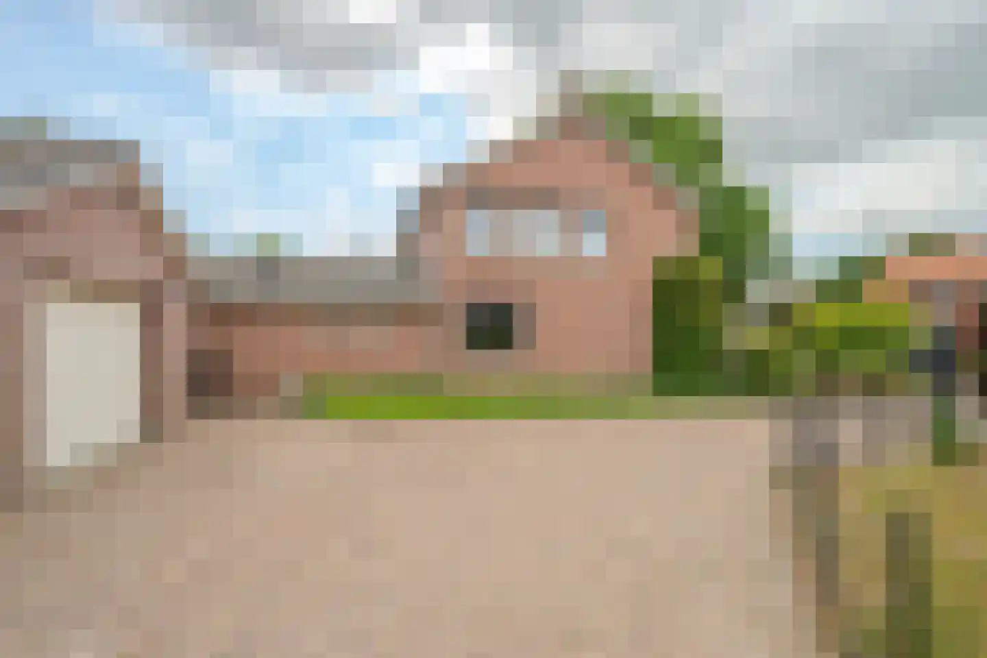 Brugpas 4 Veulen thumbnail 54