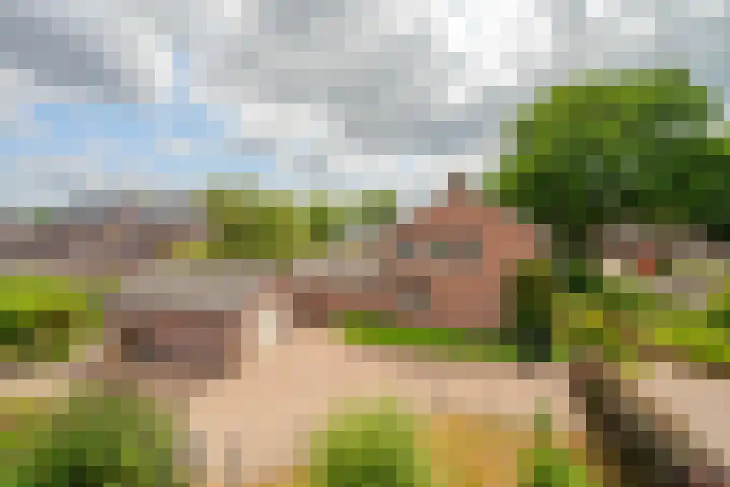 Brugpas 4 Veulen thumbnail 55